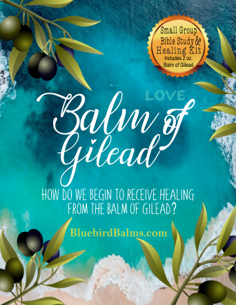BOOK COVER PNG GILEAD