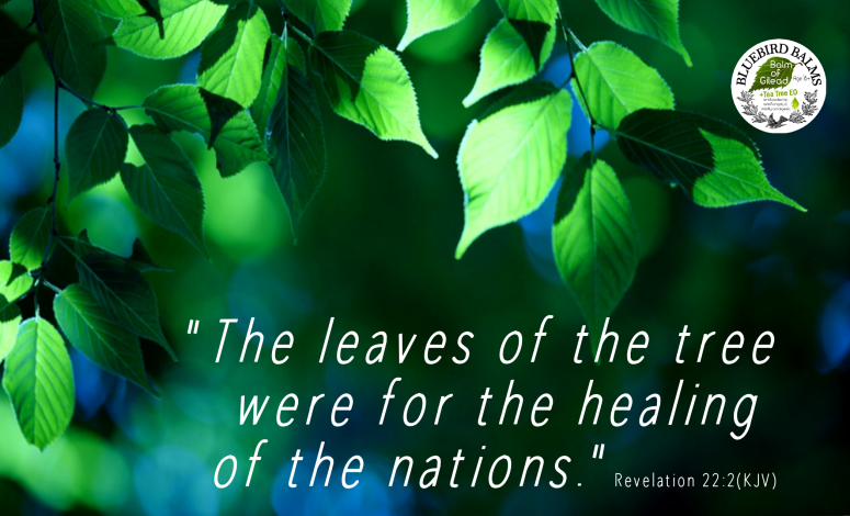 healing leaves png